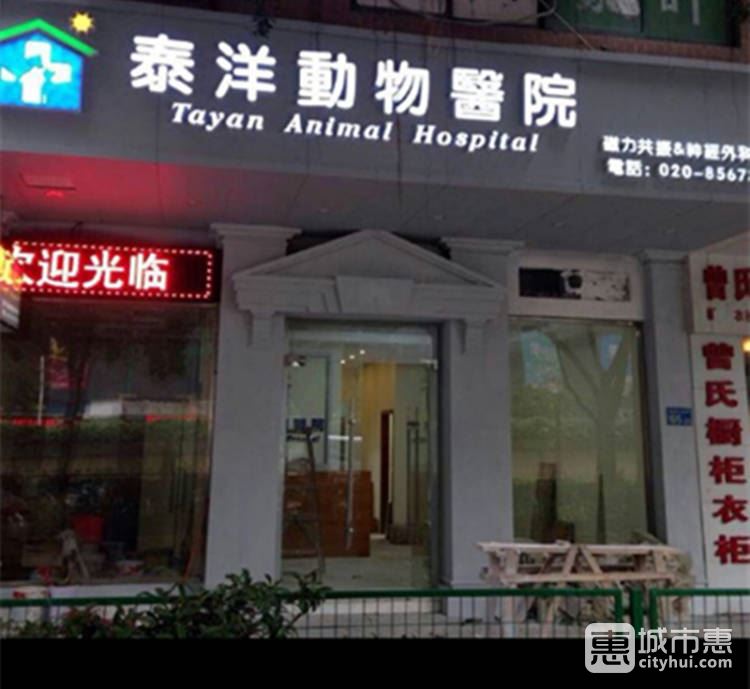 泰洋动物医院