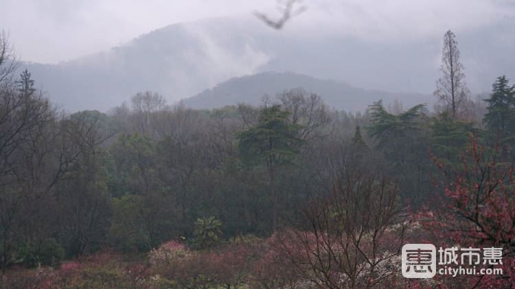 钟山风景区