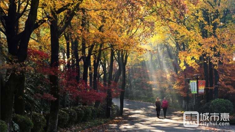 湖南省森林植物园