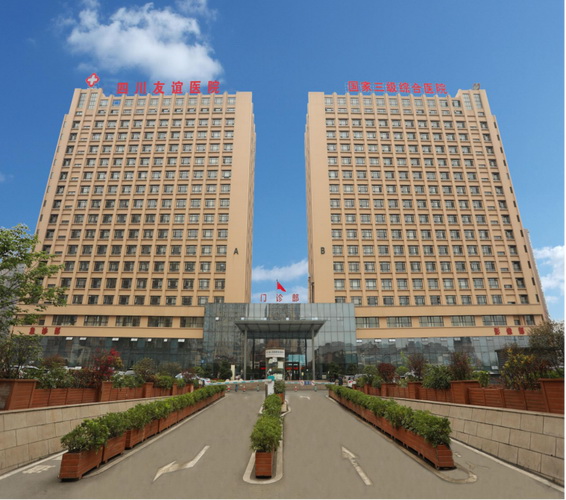 四川省人民医院医疗集团友谊医院大楼