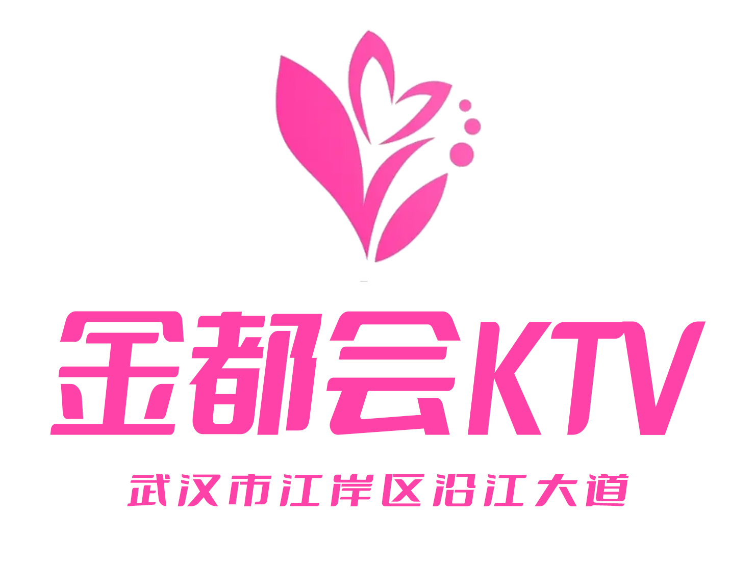 武汉金都会KTV