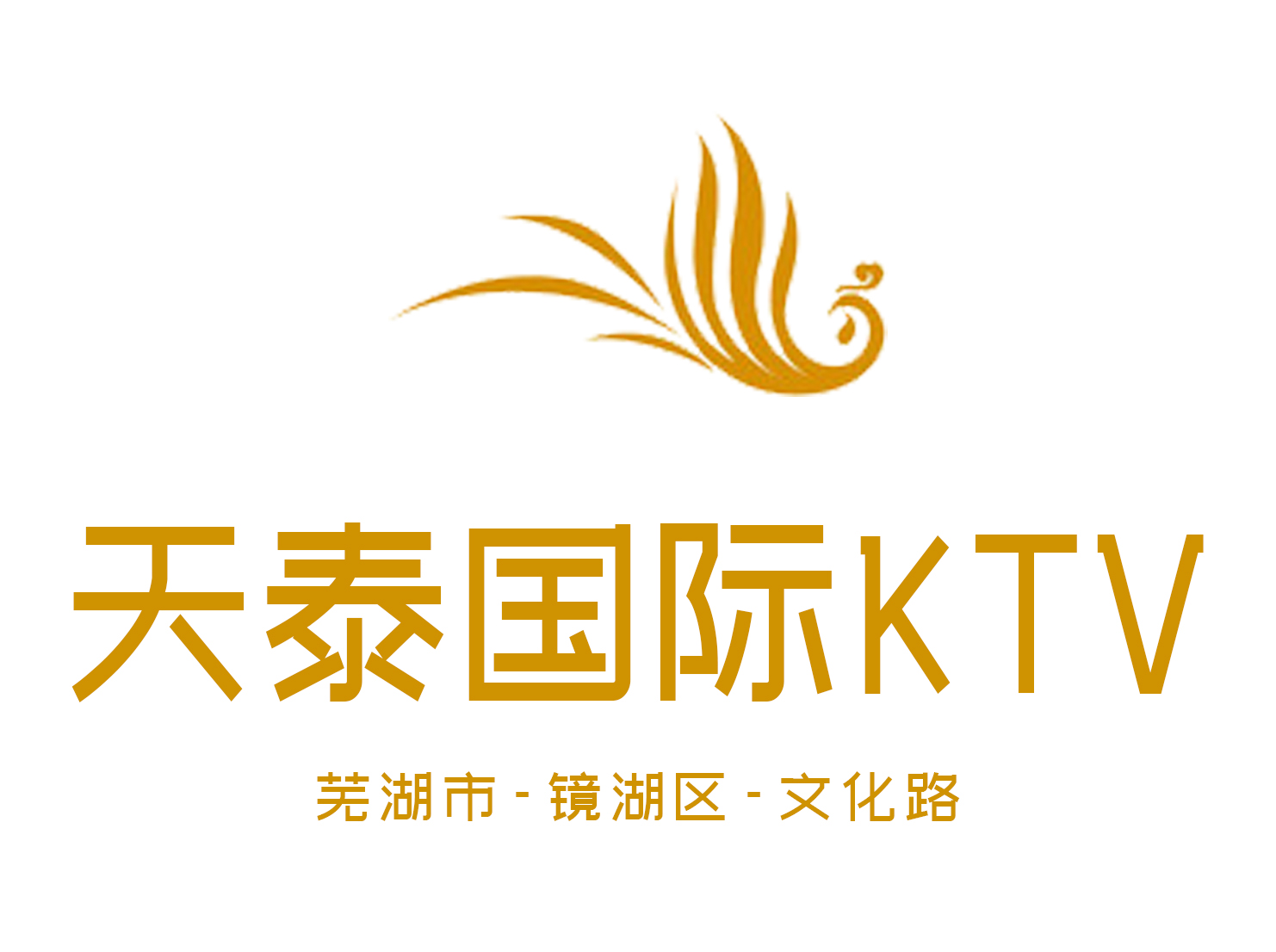 芜湖天泰KTV