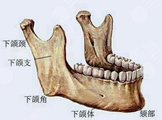 南京面部护理
