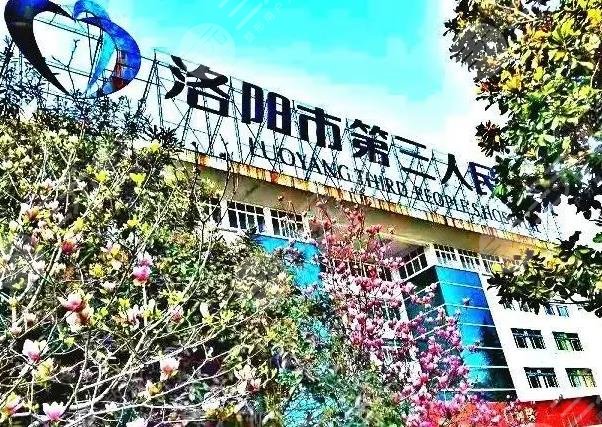 洛阳三院环境图