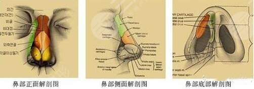 济南艺星做鼻子真人案例