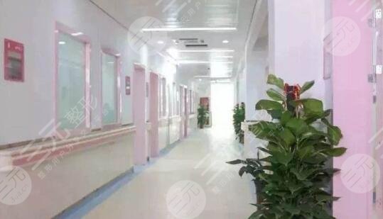 南方医科大学整形科收费价格表