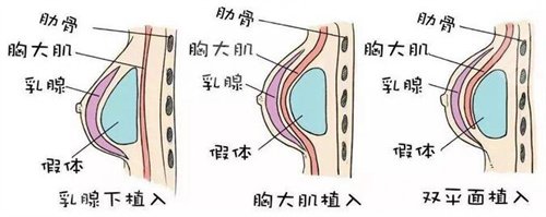 整形美容科介绍