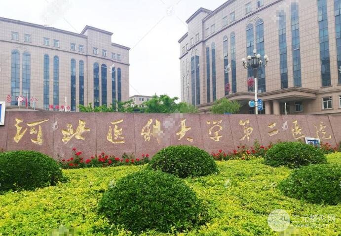 石家庄省二院美容科在哪里