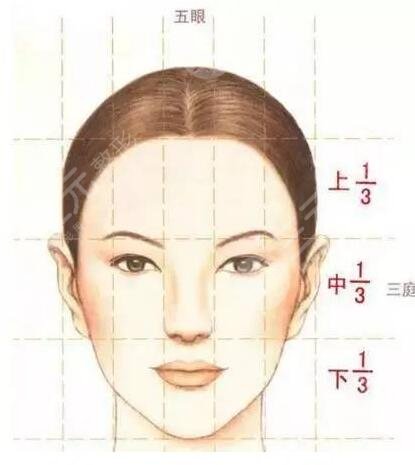 做鼻部矫正手术的果