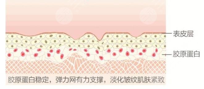 欧洲之星4d介绍