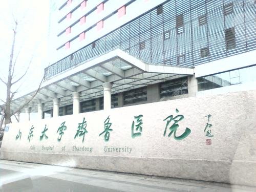 齐鲁医院整形科简介