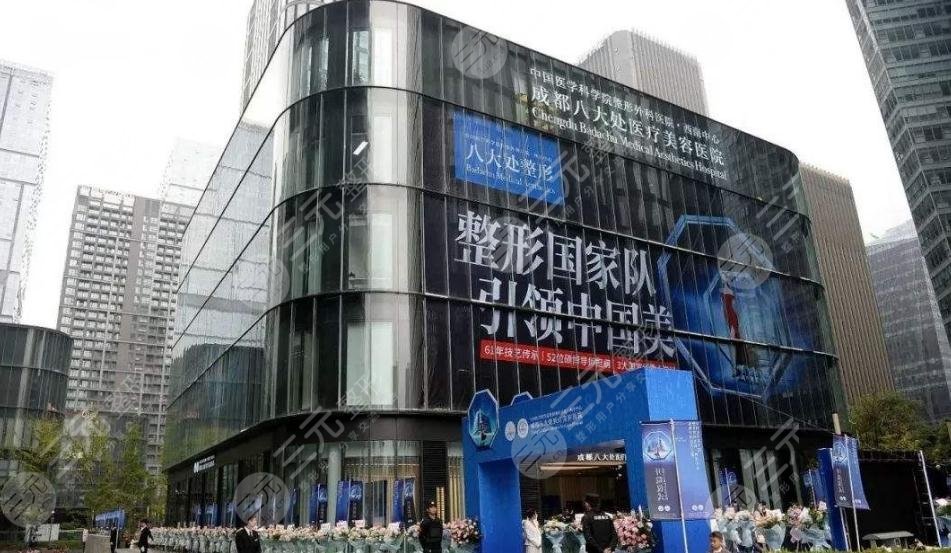 包含八大處整型醫院代幫掛號，服務好速度快的詞條