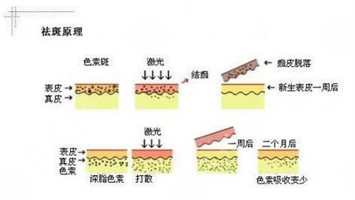 西京医院皮肤科