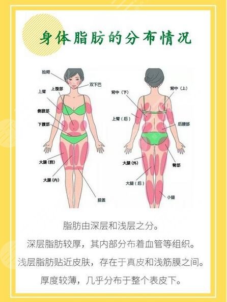 南方医科大学南方医院整形科腹部抽脂案例