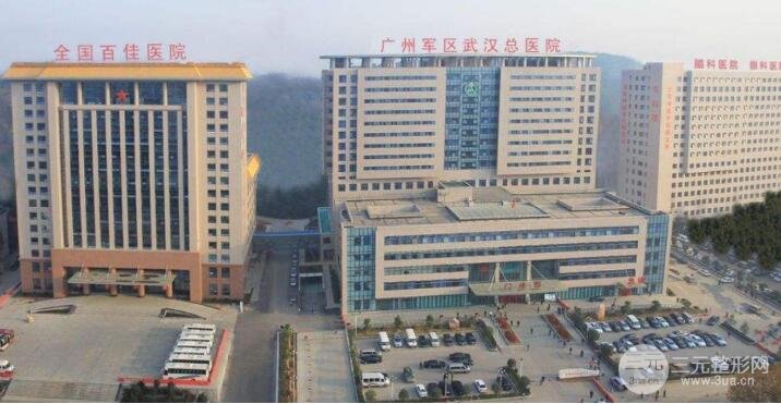 关于广州军区武汉总医院票贩子挂号问题的信息