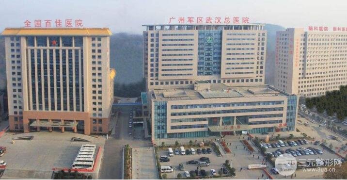 中部战区总医院广州军区武汉总医院
