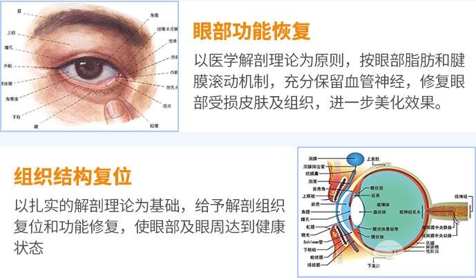 擅长项目