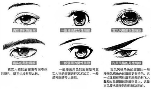 全切双眼皮案例