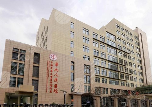 上海九院整形价目表2025，口碑专家魏皎+王涛综合测评，热门整形项目
