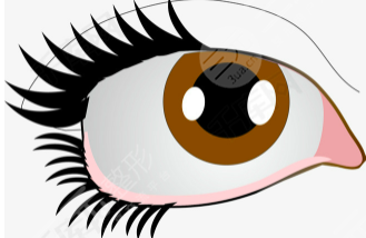 全切双眼皮恢复过程图