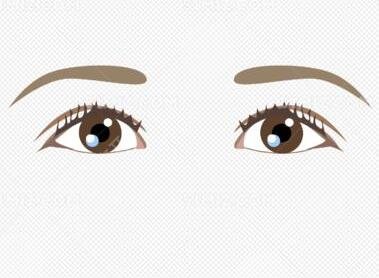 种眉毛好不好？自己种植眉毛恢复过程图分享