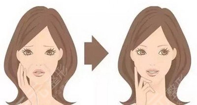 俞哲元脂肪