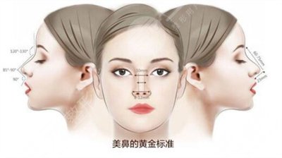 葡聚糖生物肋骨鼻多少钱