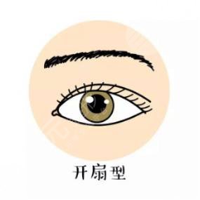 开扇型双眼皮