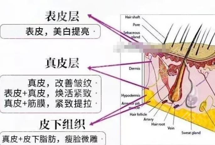 赛诺龙5gmax收费情况