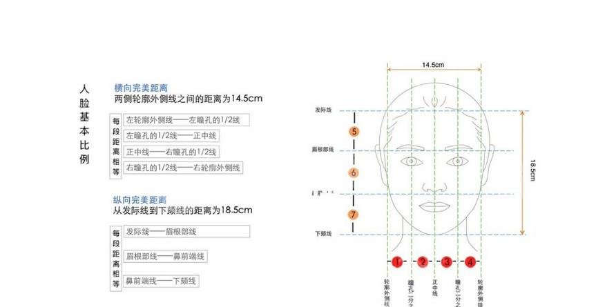 什么样的脸型好看