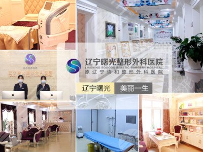 辽宁曙光