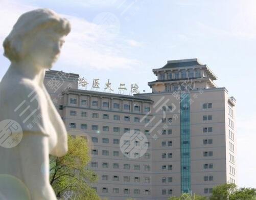 哈医大二院