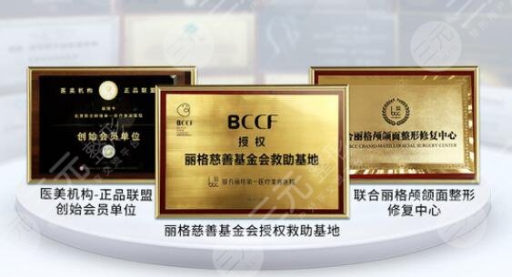 北京联合丽格
