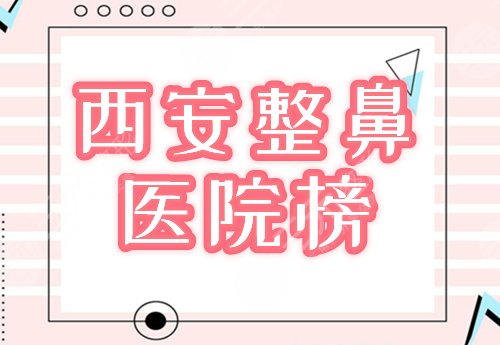 西安整鼻子好的医院排名
