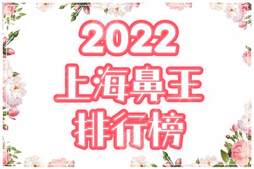 上海鼻王排行榜