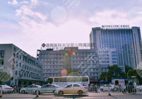 昆明医科大学第一附属医院整形外科