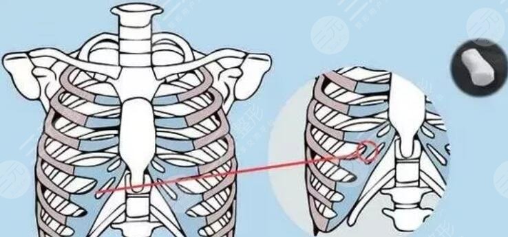 徐利刚医生擅长项目