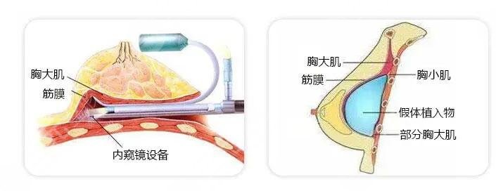 武汉恩吉娜整形美容门诊部医生信息介绍