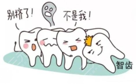 广州拔智齿多少钱一颗2025?