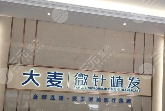 上海大麦微针植发
