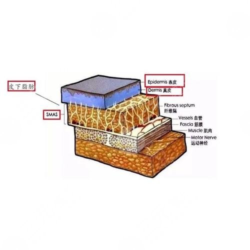 fotona4D全脸有怎样的功?