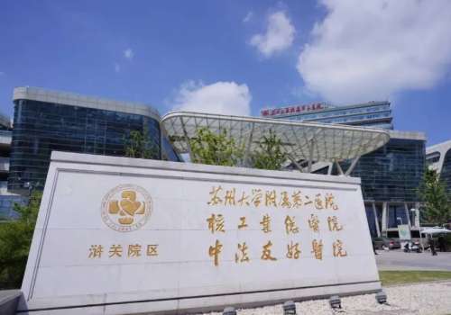苏州假体隆胸价格多少钱？公立、私立医院大比拼！